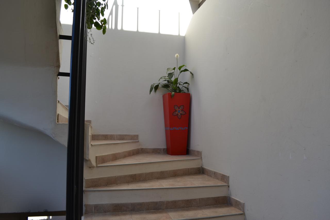 Guest House Jujuy サンサルバドールデフフイ エクステリア 写真