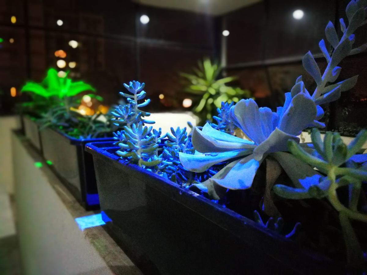 Guest House Jujuy サンサルバドールデフフイ エクステリア 写真